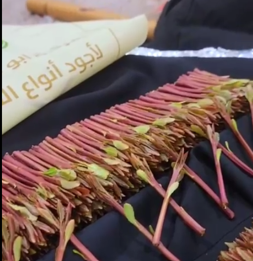 قات ارحبي أميال